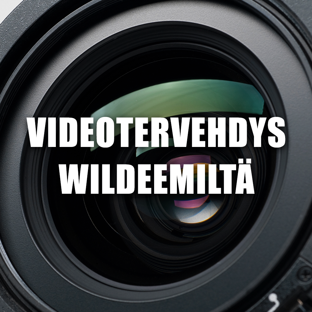 Videotervehdys